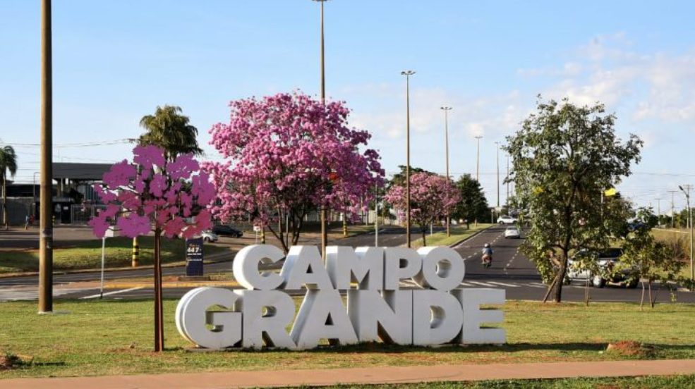 marido de aluguel em Campo Grande
